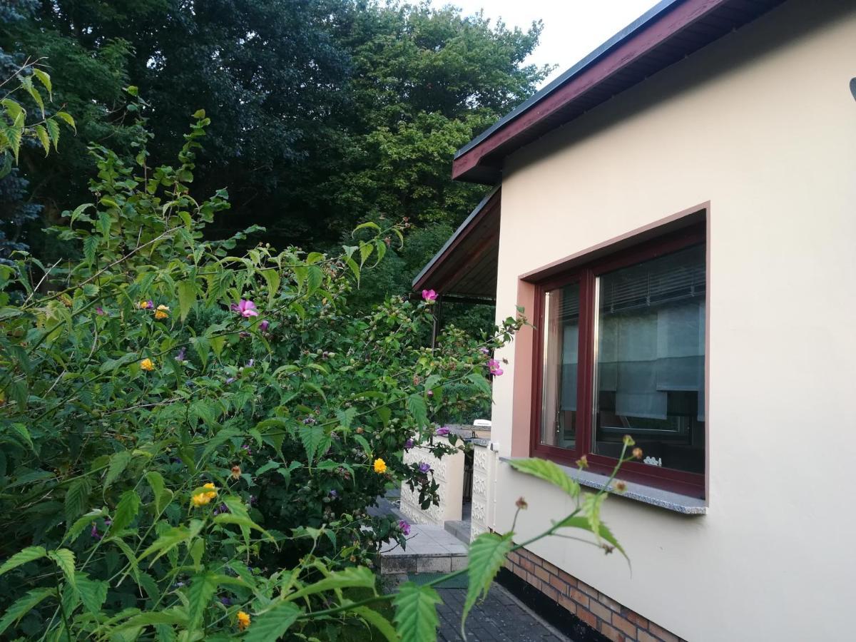 Loissin Ferienhaus Am Wald מראה חיצוני תמונה