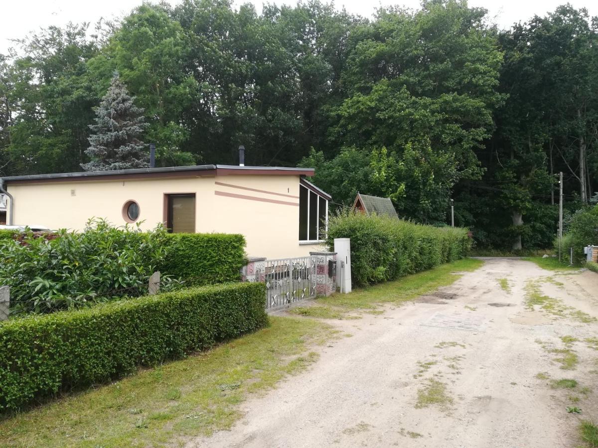 Loissin Ferienhaus Am Wald מראה חיצוני תמונה